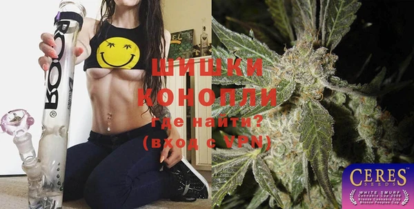 СК Краснослободск